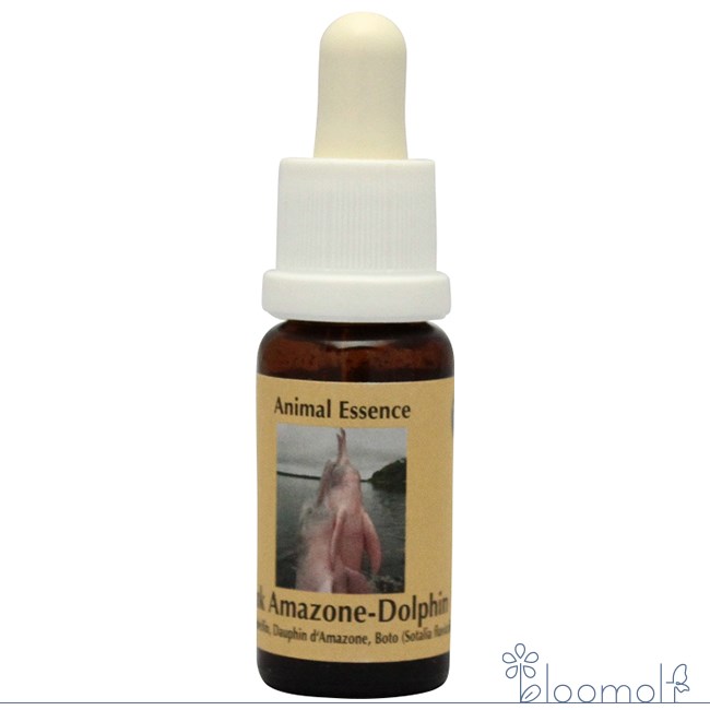 楽天市場】#59 ディーエヌエー64 アンジェリックエッセンス DNA64