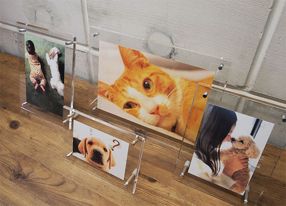 楽天市場】アクリルフレーム A3サイズ CRK791349 縦置き 横置き 可能