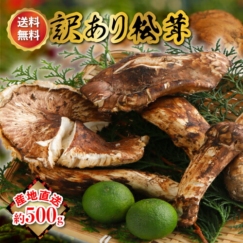 楽天市場】2026年10月分予約 【全額返金】松茸 訳あり 国産 産地直送