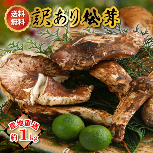楽天市場】松茸 訳ありの通販