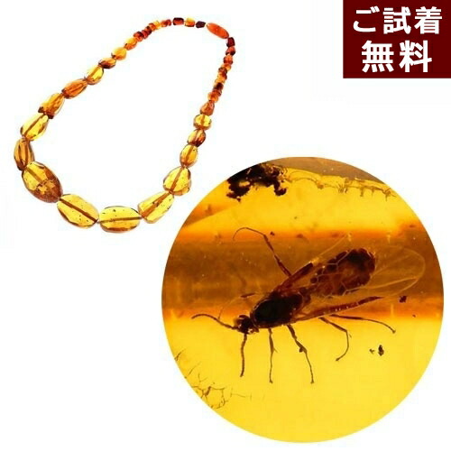 楽天市場】＼3月3日まで臨時休業中／化石 虫入り琥珀 ネックレス 羽蟻
