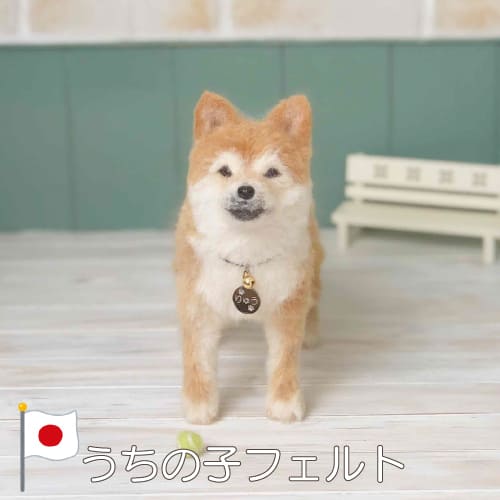 楽天市場】【プレゼント付き】羊毛フェルト うちの子フェルト 【お渡し