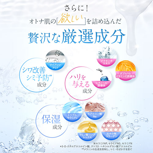 楽天市場】【組合せでお得なセット】北の快適工房 『ハックティック