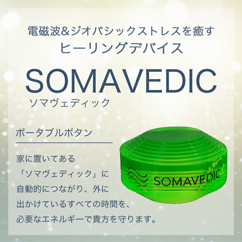 楽天市場】ソマヴェディック「ポータブルボタン」 : 健康セルフケア