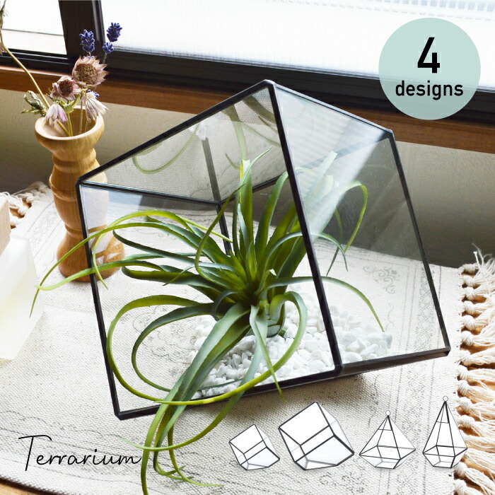 楽天市場】テラリウム / テラリウムケース テラリウムドーム ガラス