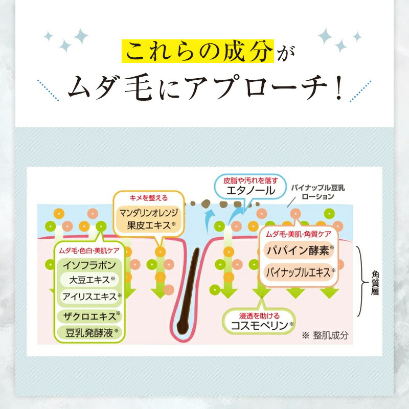 楽天市場】【最大2700円OFFクーポン配布】【薬用】パイナップル 豆乳