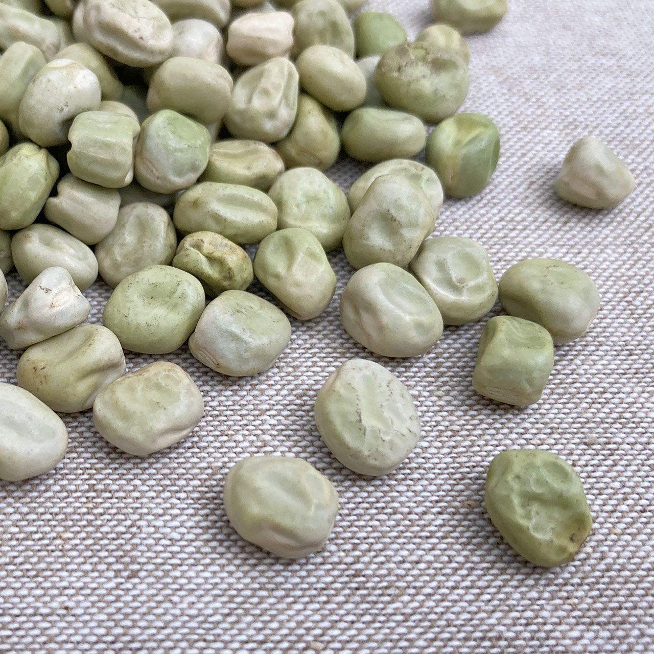 main2.jpg?fitin=272:272