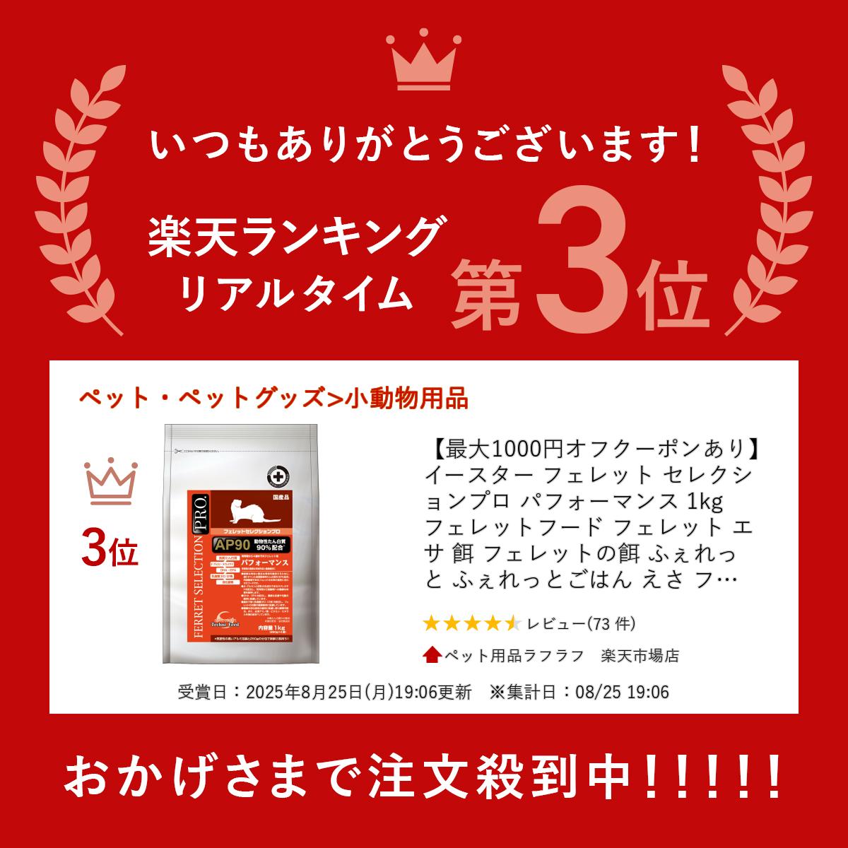 楽天市場】【最大1000円オフクーポンあり】イースター フェレット