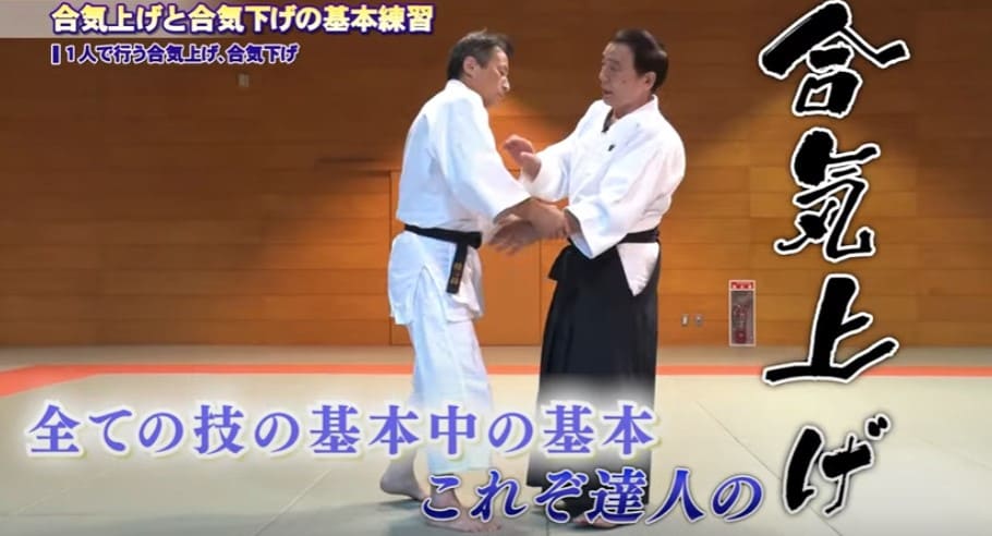 楽天市場】大東流合気柔術の極意 ～一瞬で相手を無力化する合気の