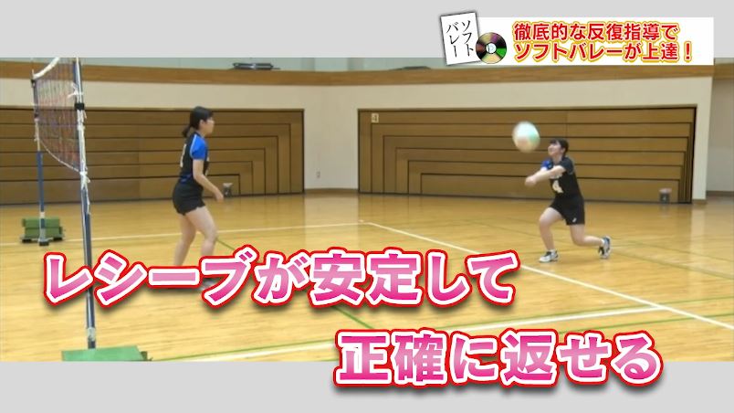楽天市場】ソフトバレーボール上達革命 DVD〜ソフトバレーボール連盟副