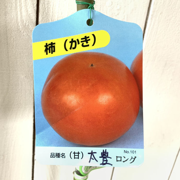 柿 太豊」の人気商品一覧 | 安い商品を通販サイトから探す - 価格.com