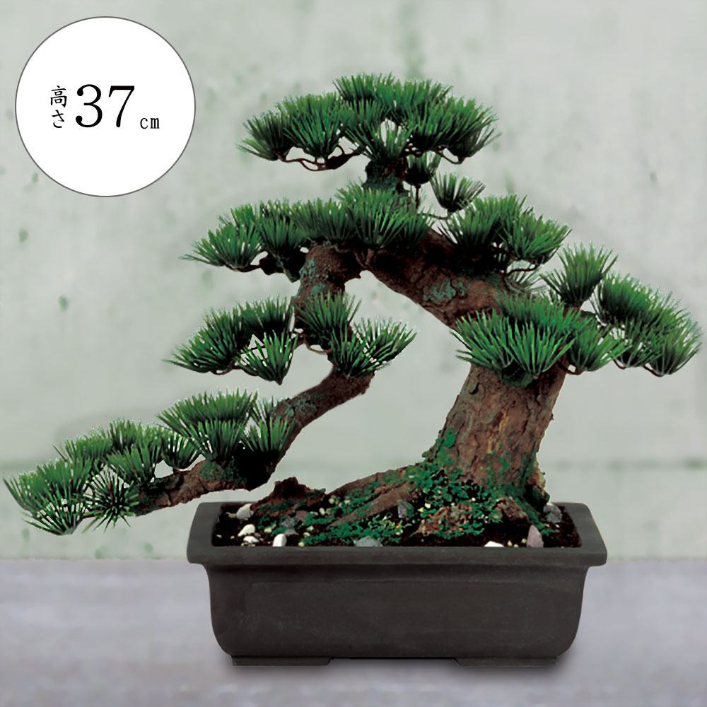 楽天市場】盆栽 松 フェイクグリーン おしゃれ 人気 造花 リアル
