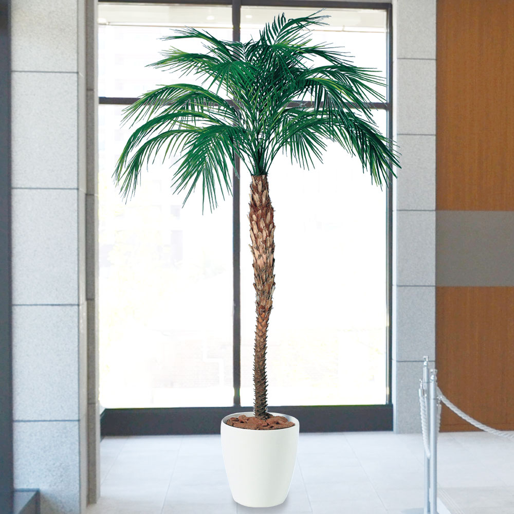 楽天市場】ヤシの木 フェニックス ロベレニー ロベヤシ フェイク