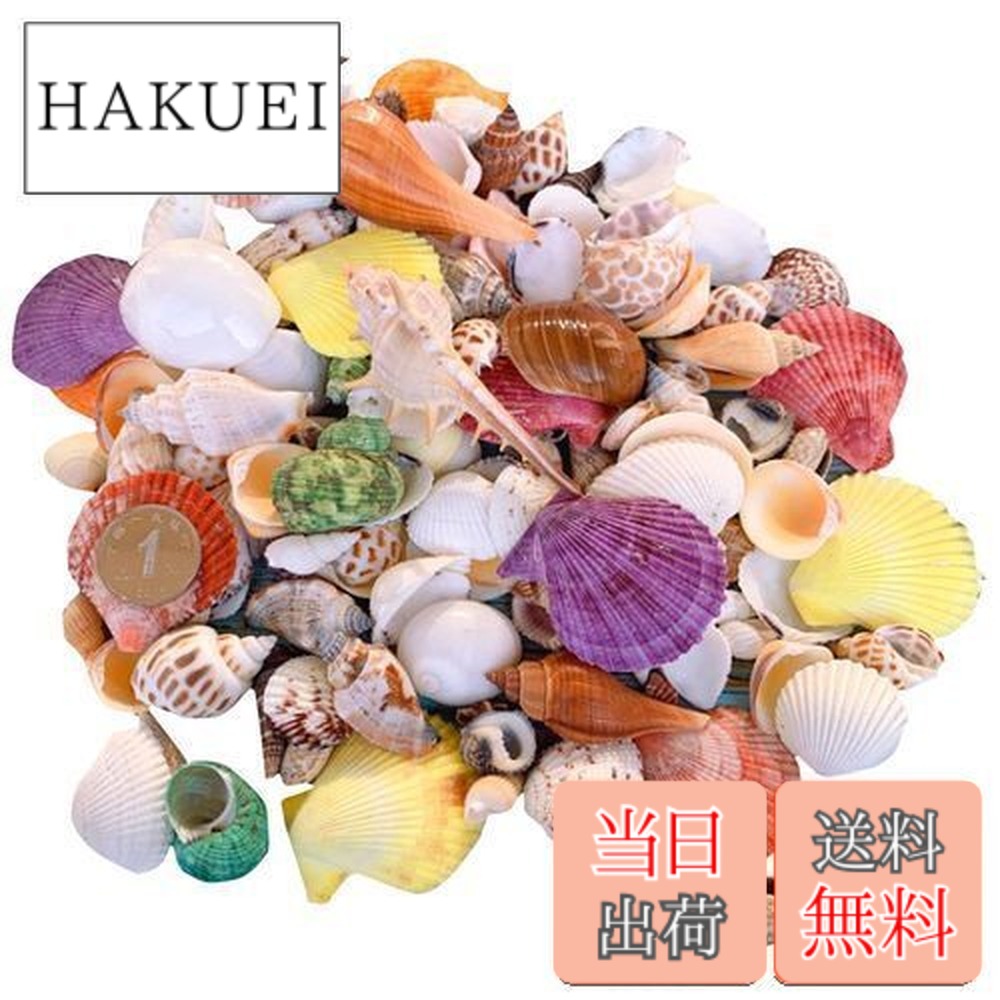 楽天市場】【送料無料】siawadeky カラフル 貝殻 約170個 250g