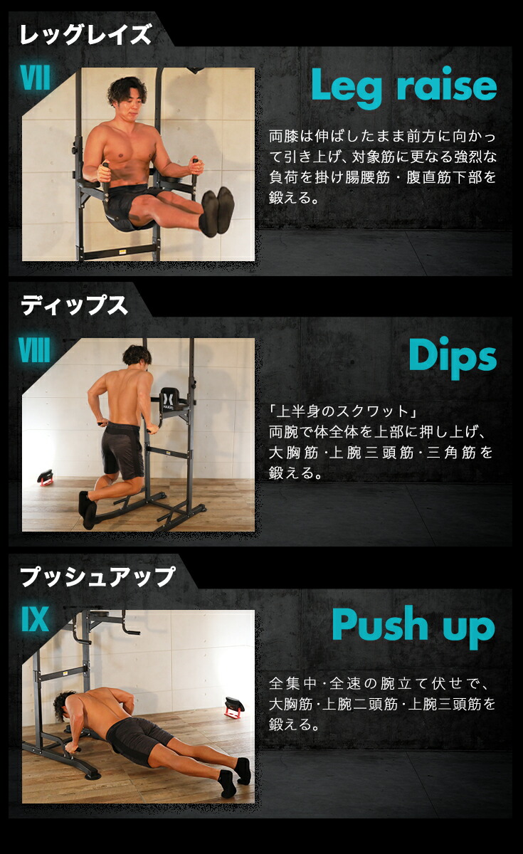 楽天市場】ハイガー プロユース最高峰モデル 懸垂マシン ぶら下がり