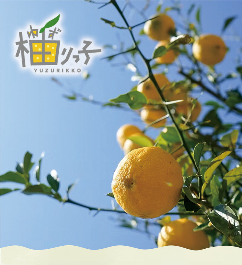楽天市場】柚りっ子 ゆずみそ・柚茶・ゆず果汁セット 送料無料 柚子