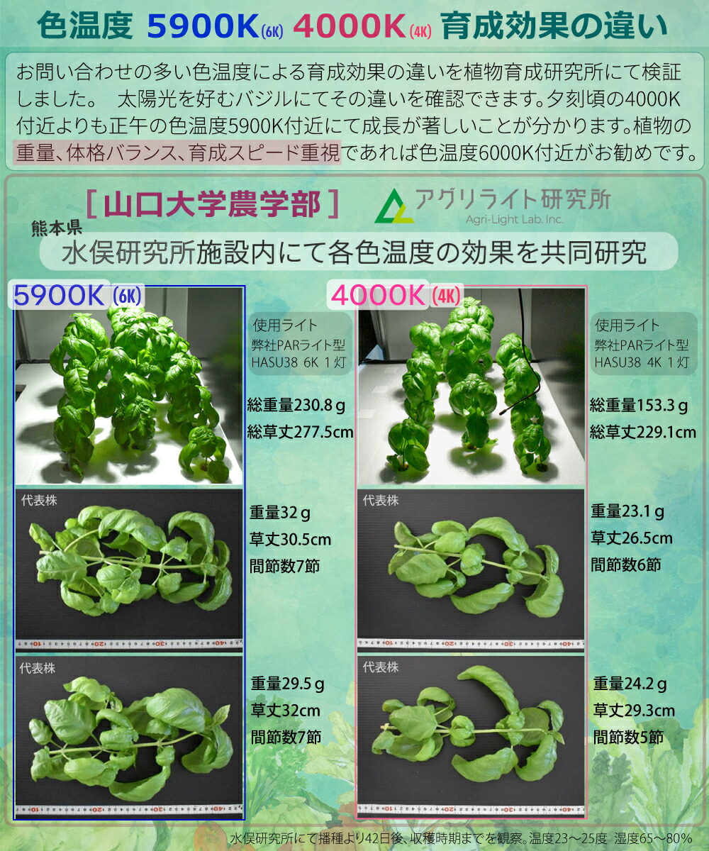 楽天市場】HaruDesign 植物育成ライト GL-X 4K McW ホワイトボディ
