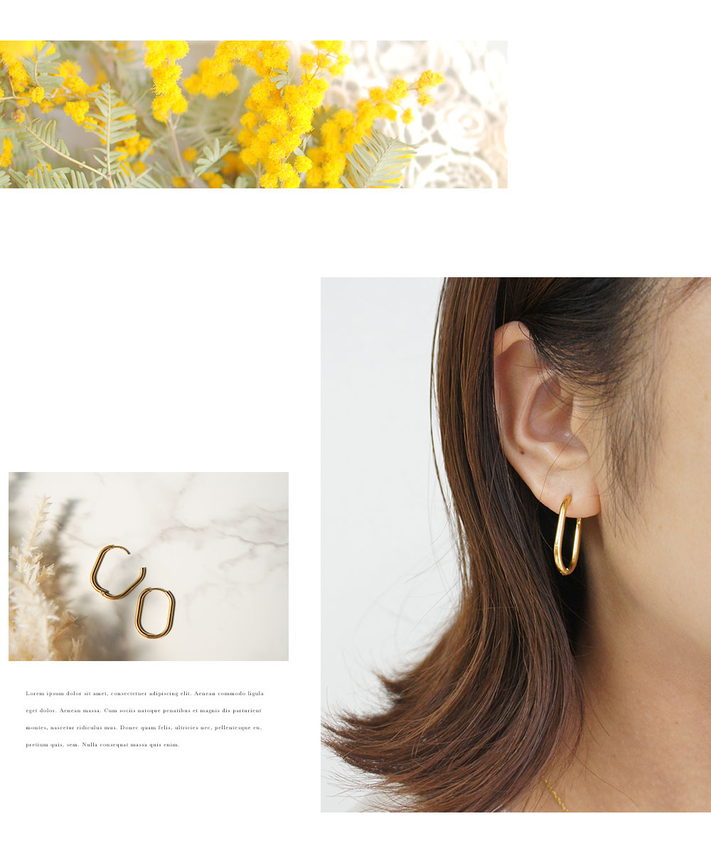 楽天市場】＼MAX90%OFFセール／ Nei/nor ピアス お肌に優しい つけっ