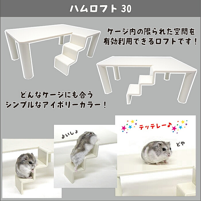 楽天市場】ハムロフト30 : 小動物専門店ヘヴン