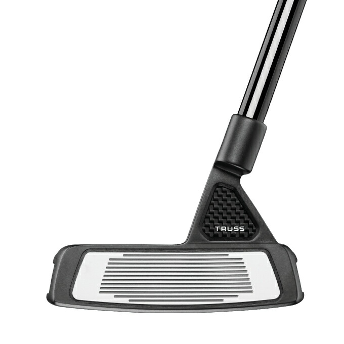 楽天市場】テーラーメイド パター メンズ スパイダー ツアー エックス