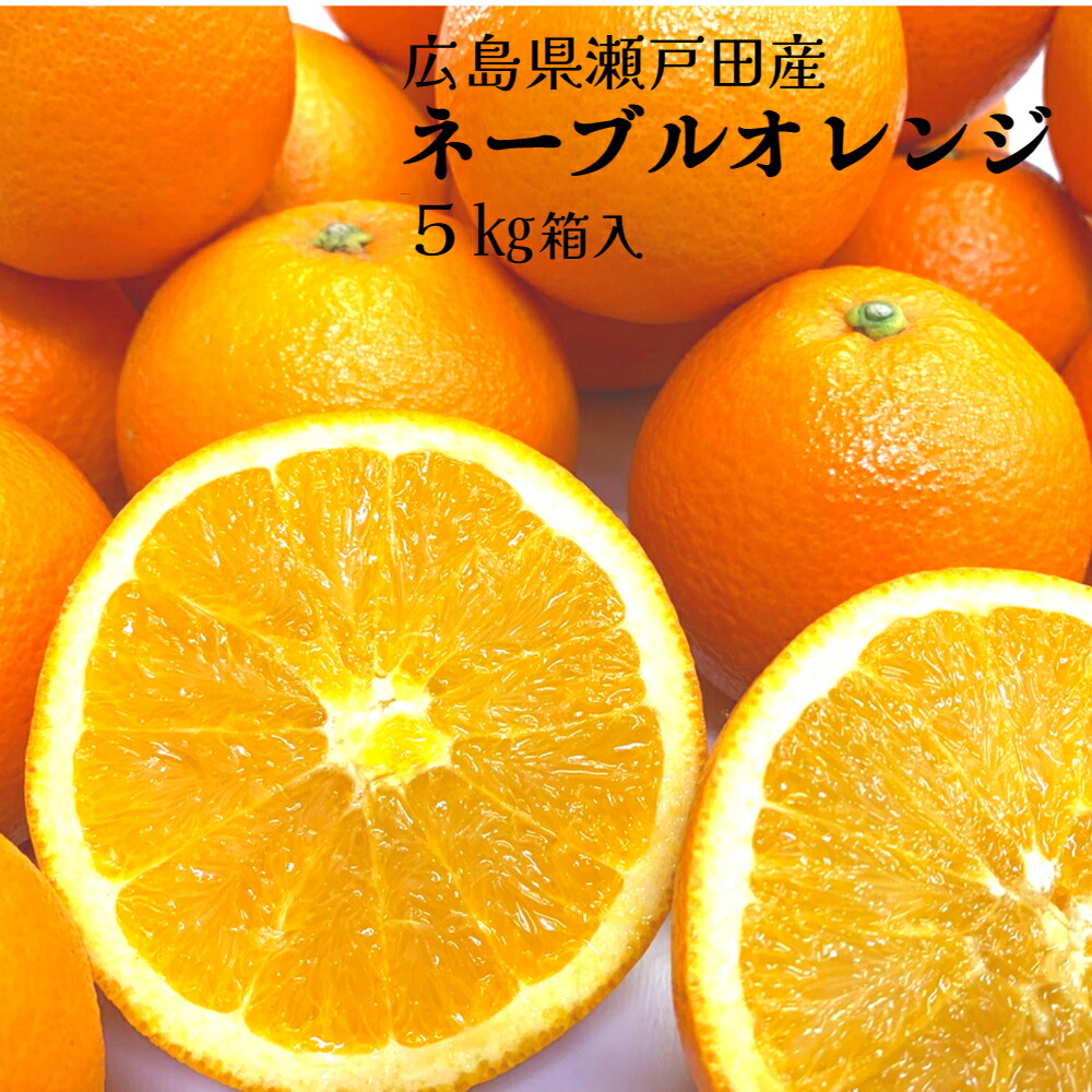 楽天市場】【広島県瀬戸田産ネーブルオレンジ5kg】箱入り 1〜2級 M