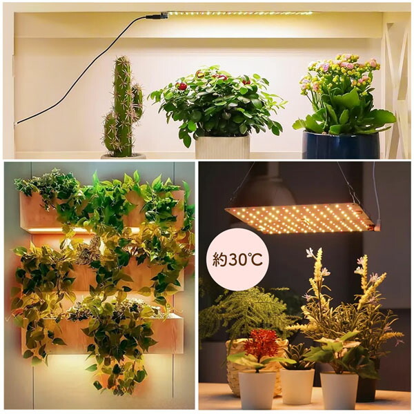 楽天市場】LED植物育成ライト 植物育成ライト 薄型 板状 板 パネル 5