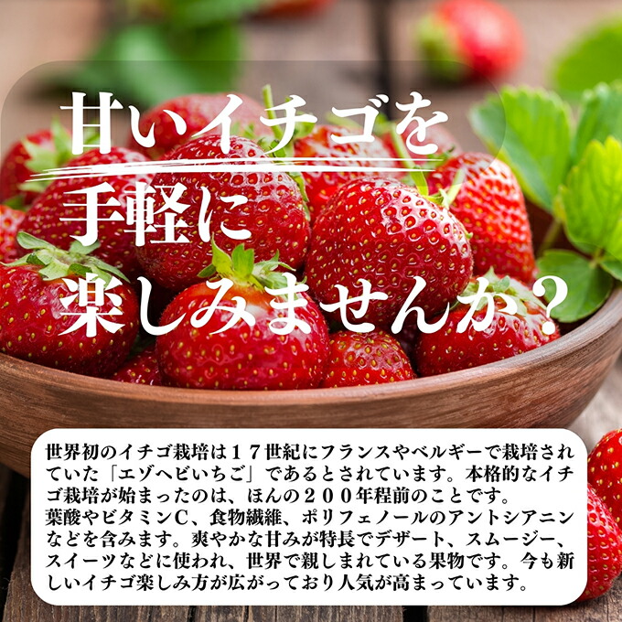 楽天市場】いちご フリーズドライ 60g×4個 FD イチゴ ストロベリー