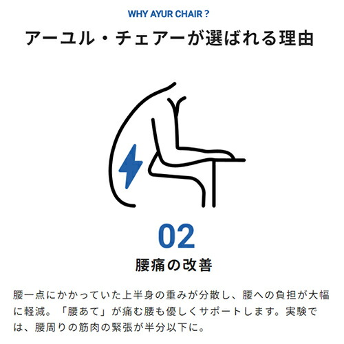 楽天市場】アーユル・チェアー メディカルシート 座椅子＆座面シート