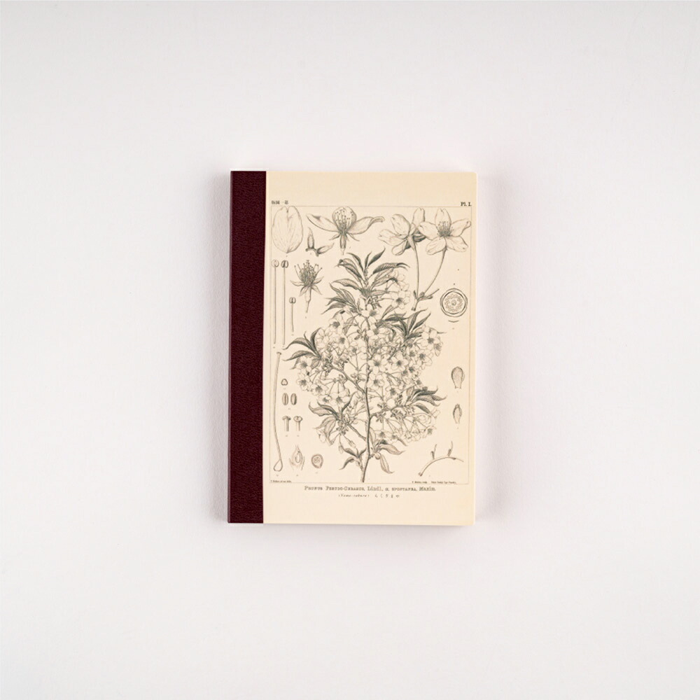 楽天市場】ほぼ日の方眼ノート ［ A6サイズ ］ 牧野富太郎