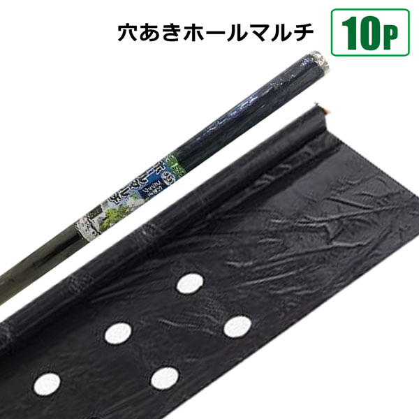 楽天市場】穴あきホールマルチ 0.02mm 95×50m 黒 10本セット