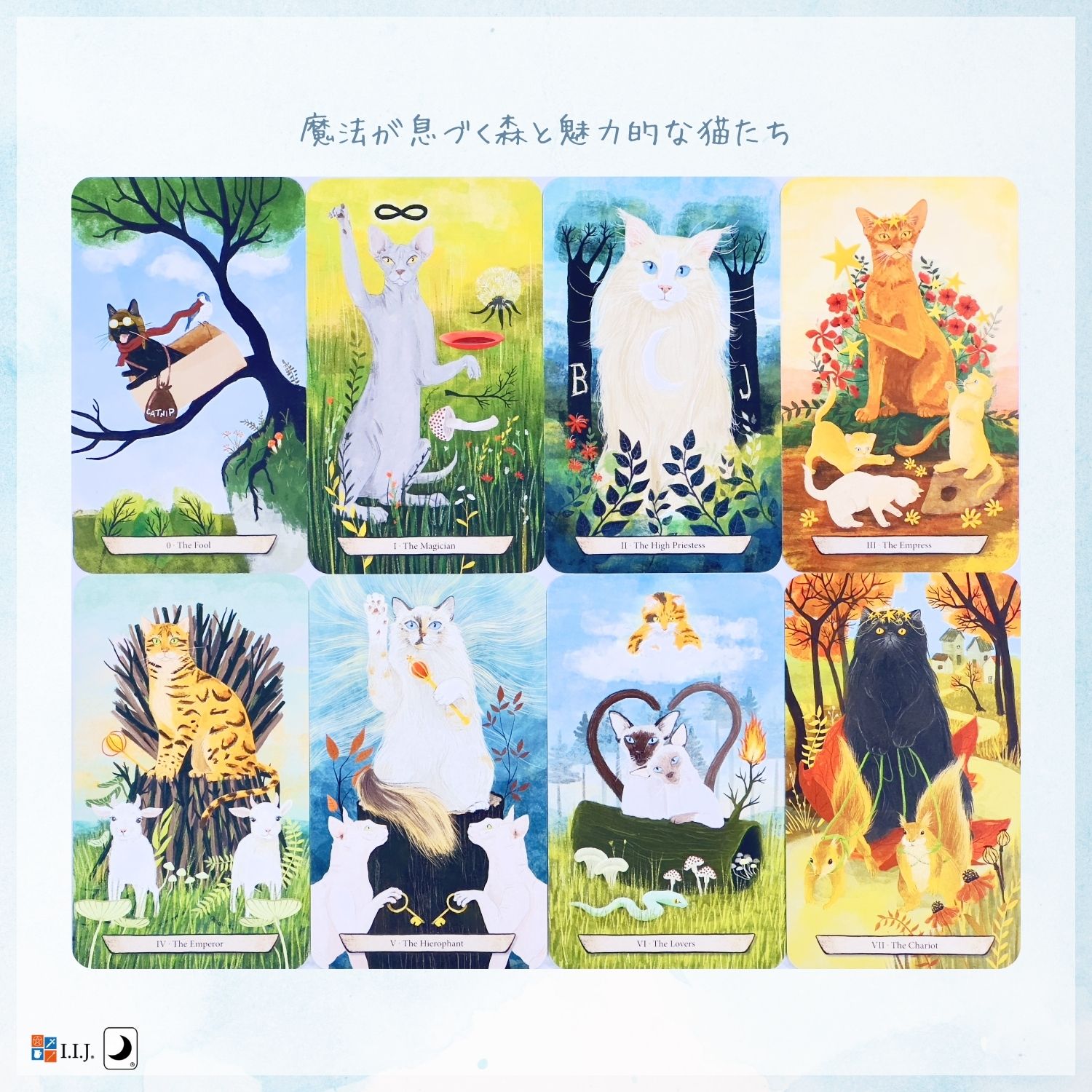 楽天市場】エンチャンテッド・フォレスト・フィーライン・タロット