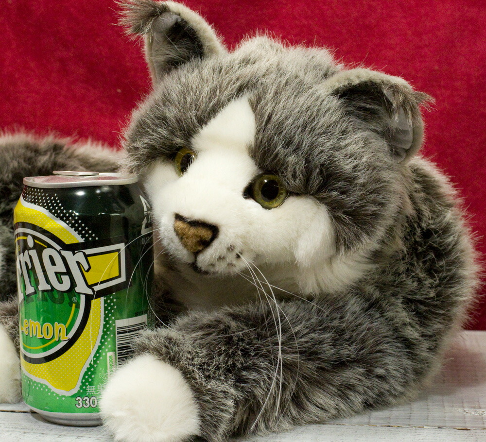 楽天市場】ケーセン ぬいぐるみ Kosen メインクーン「ジョディ