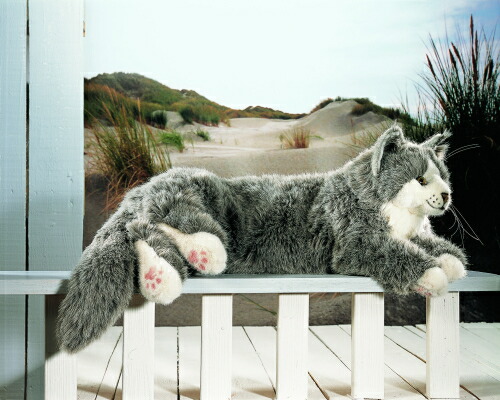 楽天市場】ケーセン ぬいぐるみ Kosen メインクーン「ジョディ