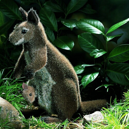 楽天市場】ケーセン ぬいぐるみ Kosen カンガルー親子 32cm Kangaroo