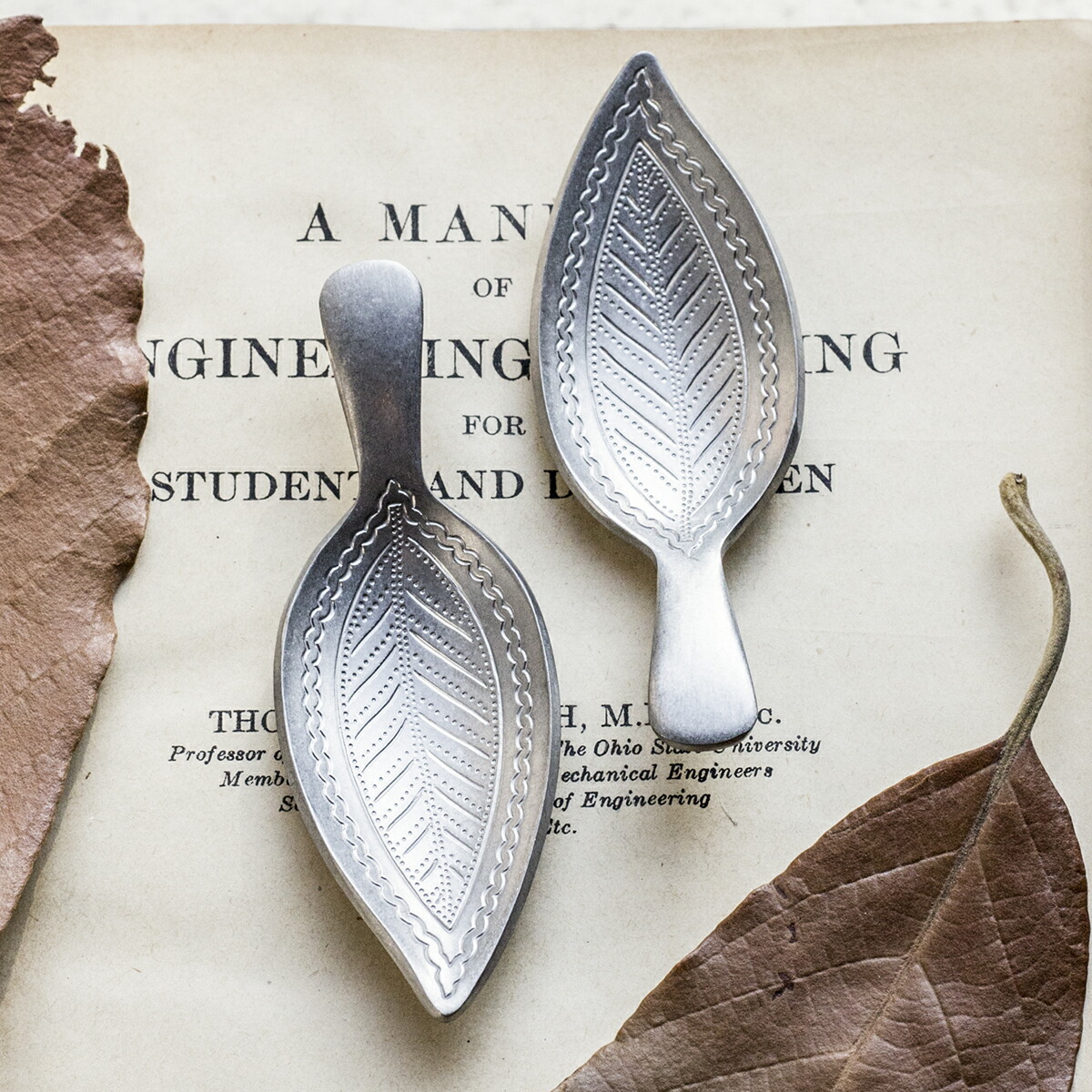 楽天市場】エレガント ティーキャディー リーフ 茶匙 茶さじ 葉形