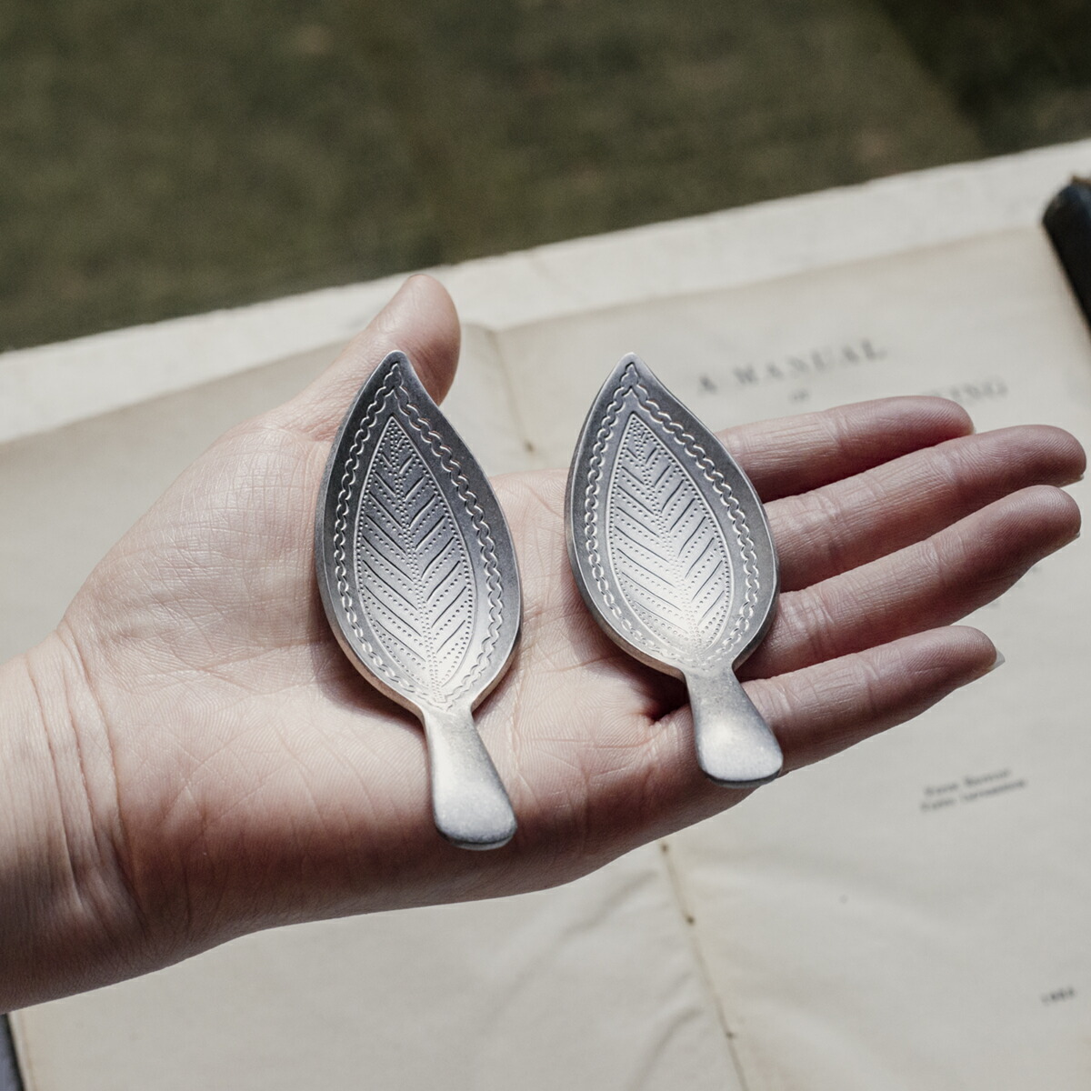 楽天市場】エレガント ティーキャディー リーフ 茶匙 茶さじ 葉形