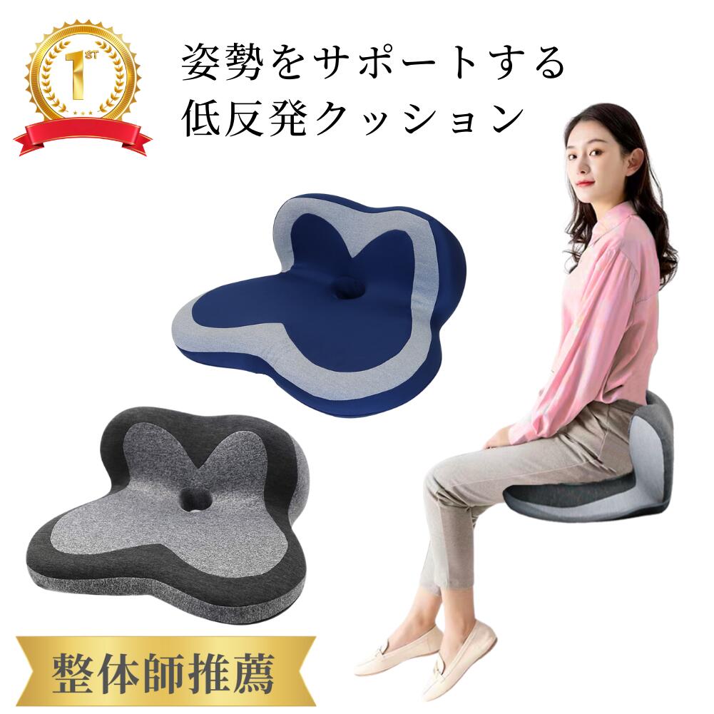 楽天市場】腰痛 クッション 骨盤矯正 椅子 骨盤 座布団 腰痛 改善