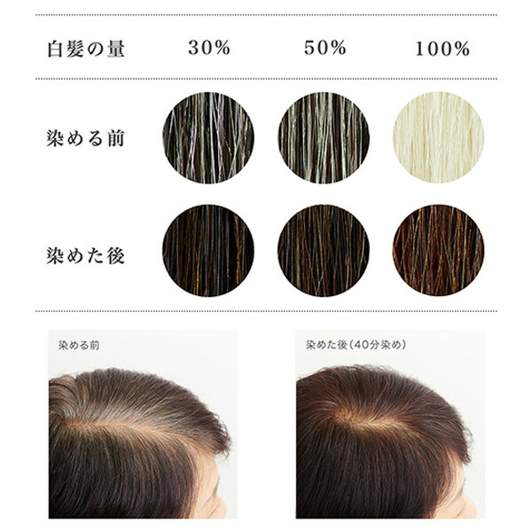 楽天市場】□最大2000円クーポン有□ナイアード(naiad) ヘナ+木藍 黒茶