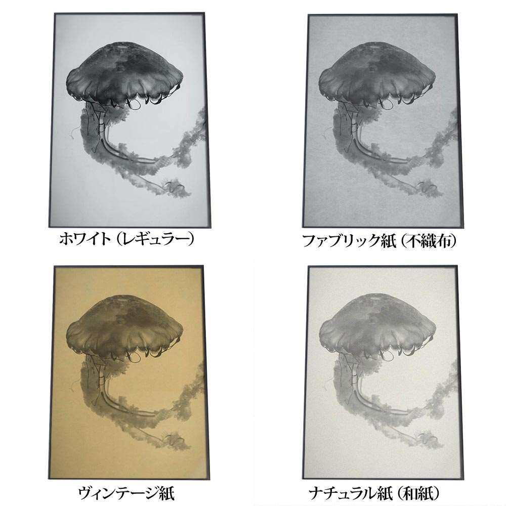 楽天市場】クラゲ くらげ ジェリーフィッシュ ポスター 海の生き物