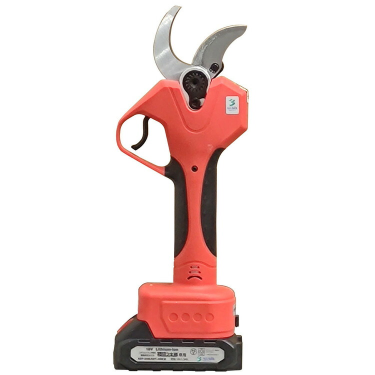 ぶどう台木剪定枝 テレキ 40本（その15） ぶどう台木剪定枝 テレキ 40