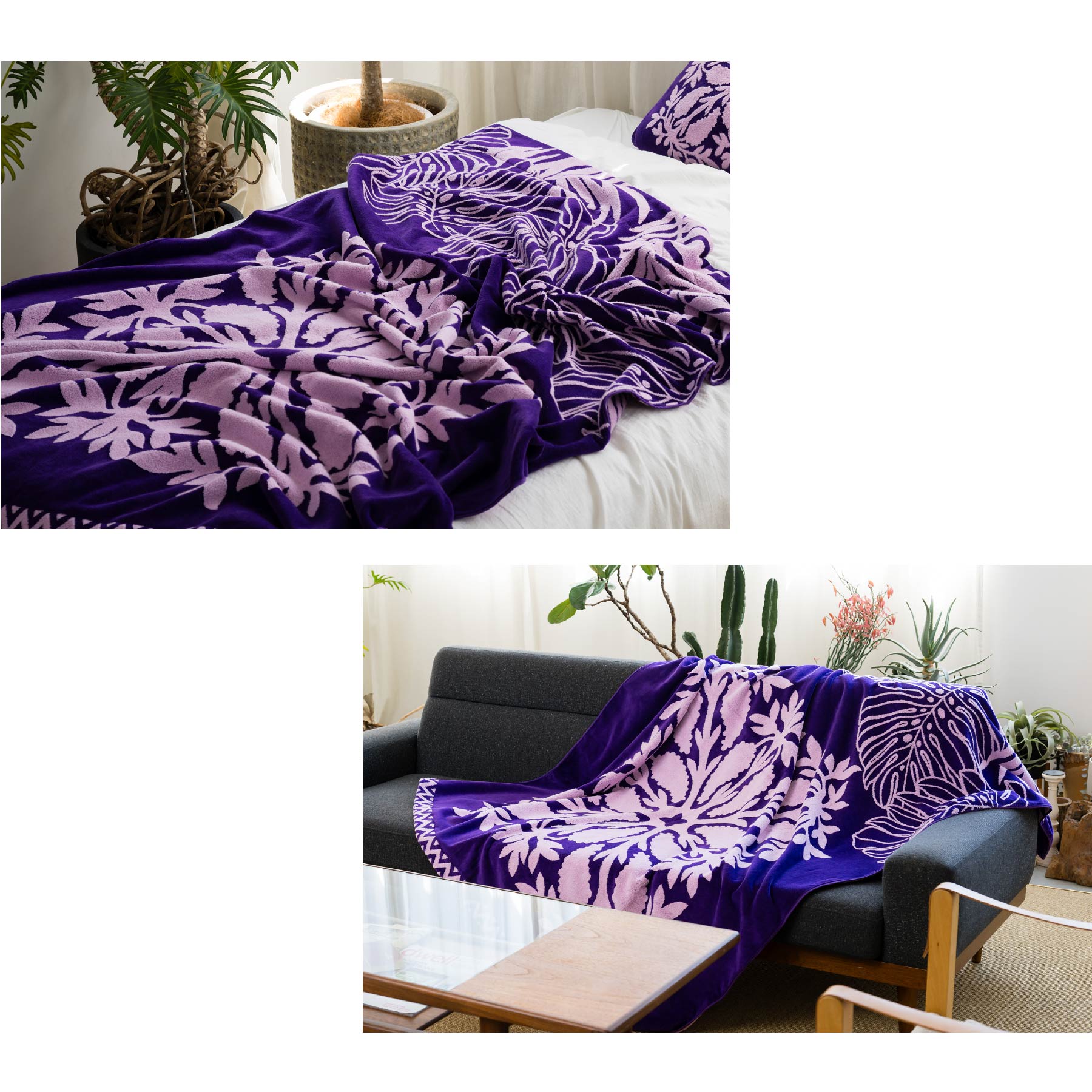 楽天市場】【 キャシーマム 】 タオルケット シングル 140cm×190cm