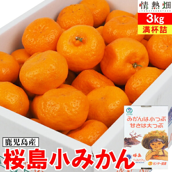 楽天市場】【今年も完売御礼】 みかん 鹿児島 小みかん 桜島 小ミカン