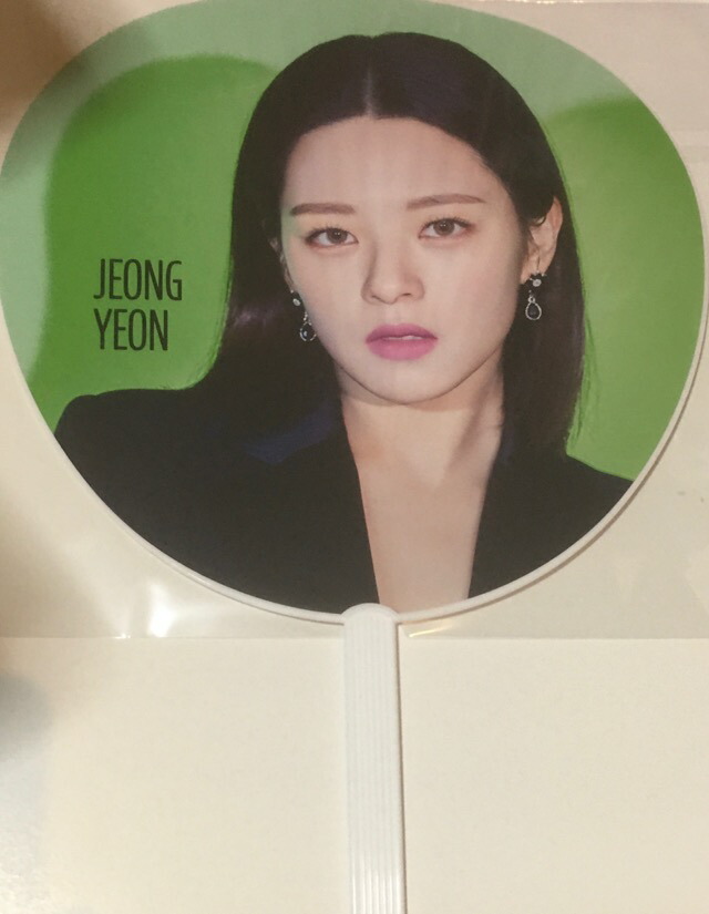 楽天市場】twice うちわ ジョンヨンの通販