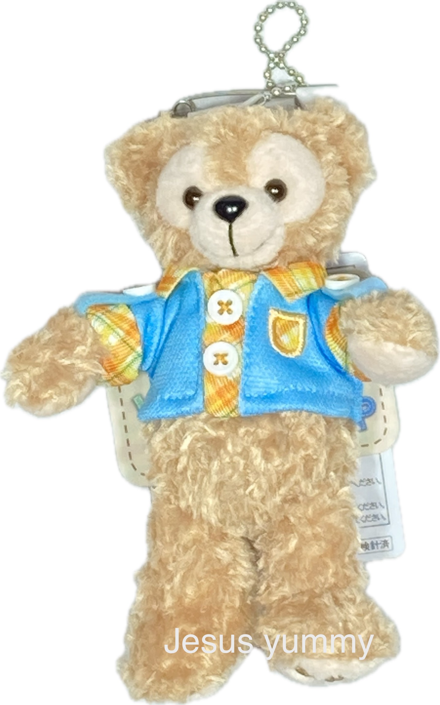 楽天市場】ダッフィー ぬいぐるみバッジ 2024 ダッフィー＆フレンズの