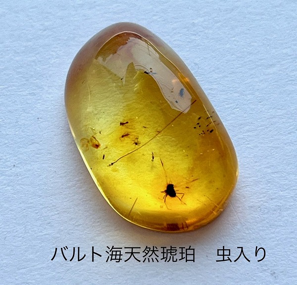 虫入り琥珀」の人気商品一覧 | 安い商品を通販サイトから探す - 価格.com
