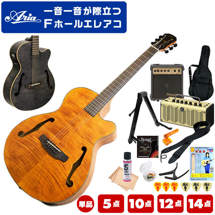 楽天市場】ギターケース APXサイズ エレアコ アコースティックギター