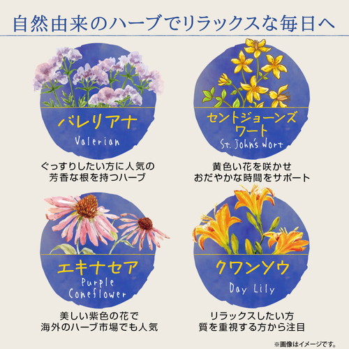 楽天市場】＼店内全品ポイント10倍／※要エントリー【レビューで