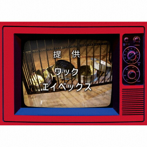 楽天市場】豆柴の大群 スタート（アイドル｜邦楽）：CD<CD・DVDの通販