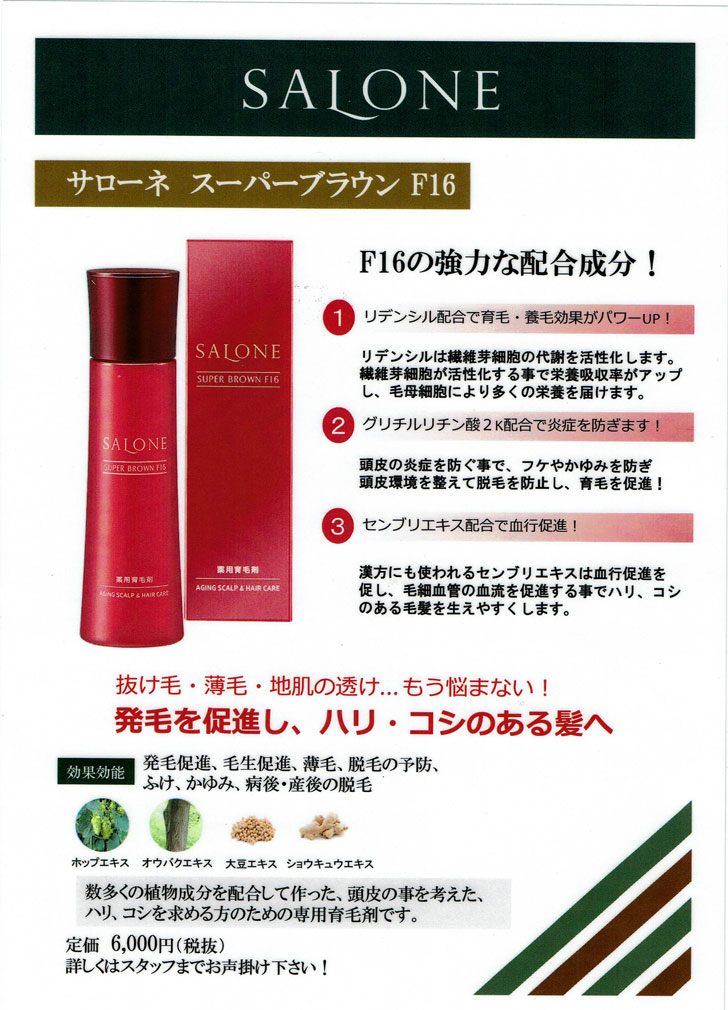 楽天市場】☆サローネスーパーブラウンF16 とにかく浸透がすごい