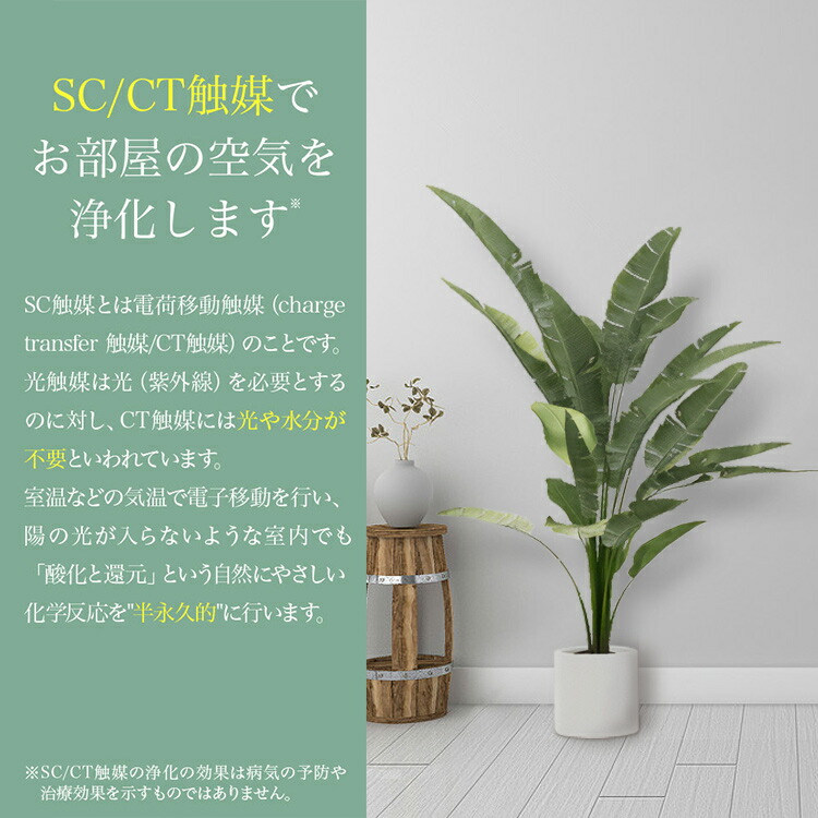 楽天市場】フェイクグリーン モンステラ 人工 観葉植物 大型 光触媒 消